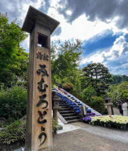 三室戸寺、6月夏の花、京都府宇治市の観光・撮影スポットの名所