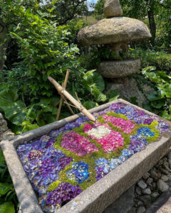 かざはやの里、花手水、あじさい、6月夏の花、三重県津市の観光・撮影スポットの画像と写真