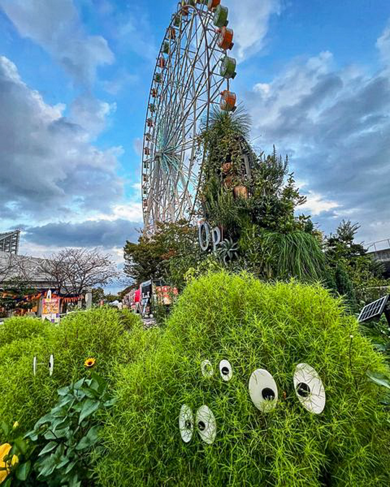 河川環境楽園オアシスパーク、コキア、10月の秋の花、岐阜県各務原市の観光・撮影スポットの画像と写真
