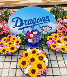 ドラゴンズウオーターフラワー、花手水、バンテリンドーム、5月夏、名古屋市東区の観光・撮影スポットの名所