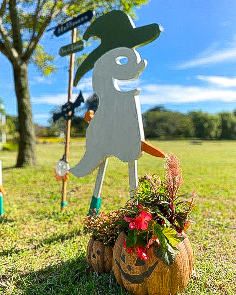 フラワーパーク江南、ハロウィン、10月の秋の花、愛知県江南市の観光・撮影スポットの画像と写真