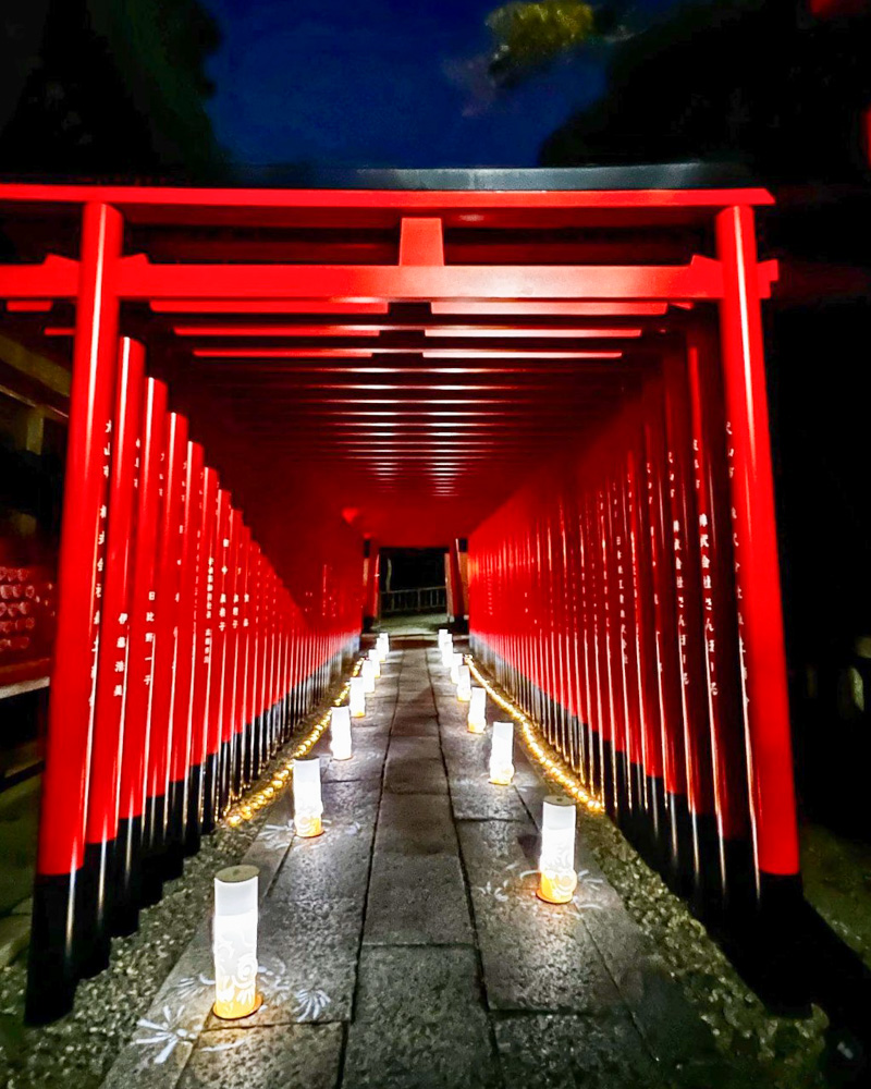 三光稲荷神社 、ライトアップ、椙山女学園大学、8月夏、愛知県犬山市の観光・撮影スポットの名所