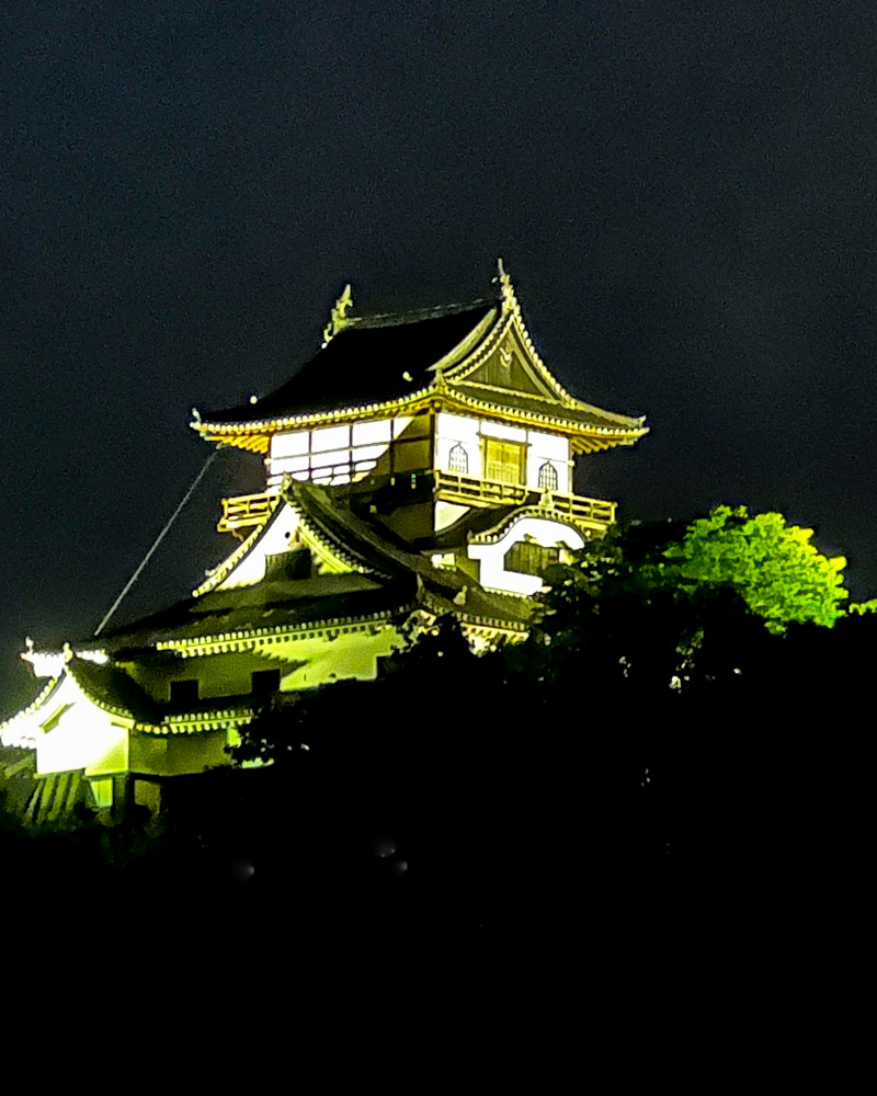 犬山城、ライトアップ、椙山女学園大学、8月夏、愛知県犬山市の観光・撮影スポットの名所