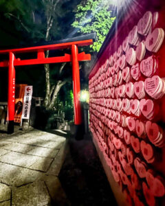 三光稲荷神社 、ライトアップ、椙山女学園大学、8月夏、愛知県犬山市の観光・撮影スポットの名所