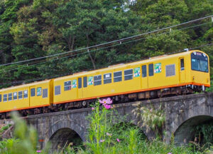 めがね橋、コスモス、三岐鉄道、秋の花、2021年9月三重県いなべ市の観光・撮影スポットの名所