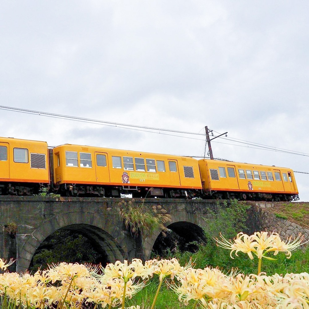 めがね橋、彼岸花、三岐鉄道、秋の花、2021年9月三重県いなべ市の観光・撮影スポットの名所