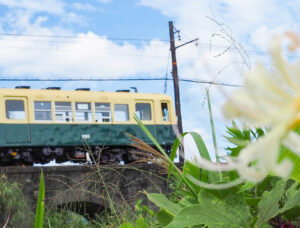 めがね橋、彼岸花、三岐鉄道、秋の花、2021年9月三重県いなべ市の観光・撮影スポットの名所