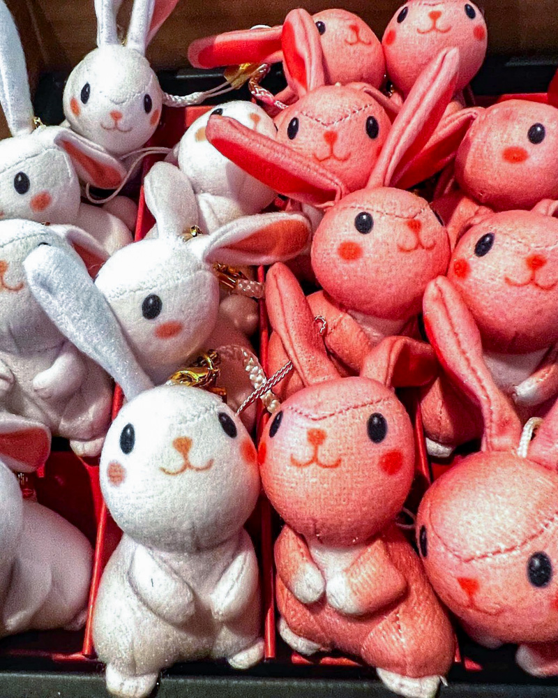 勝林寺、ウサギの人形、9月秋、京都府京都市の観光・撮影スポットの名所