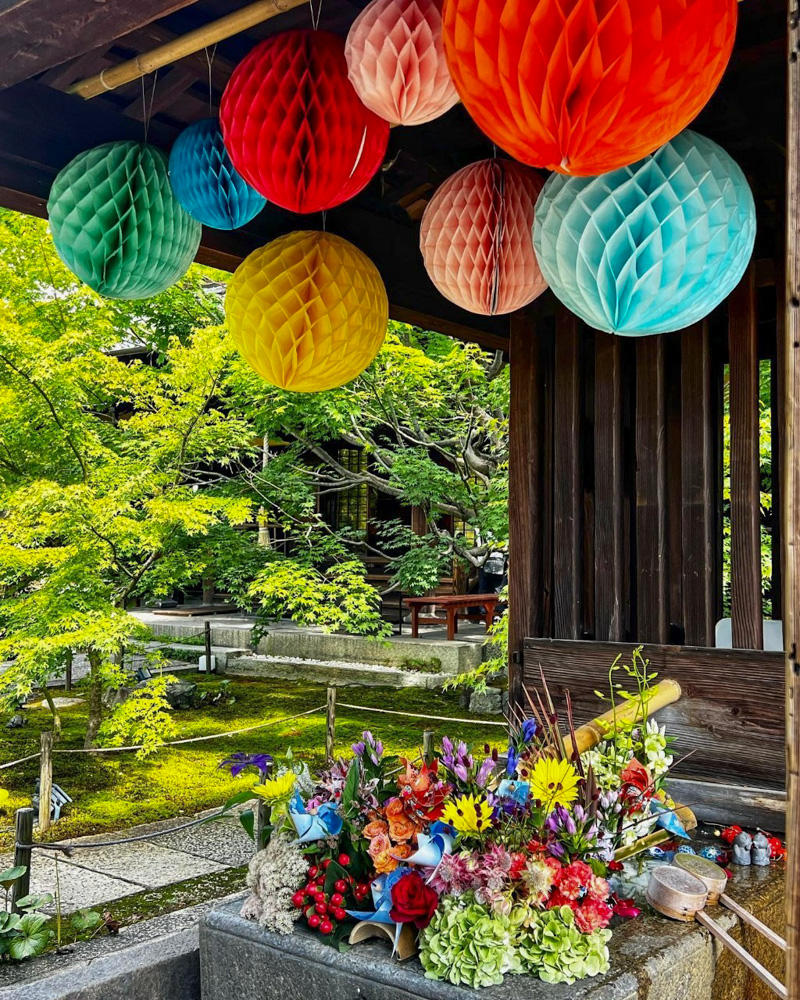 勝林寺、花手水舎、9月秋、京都府京都市の観光・撮影スポットの名所