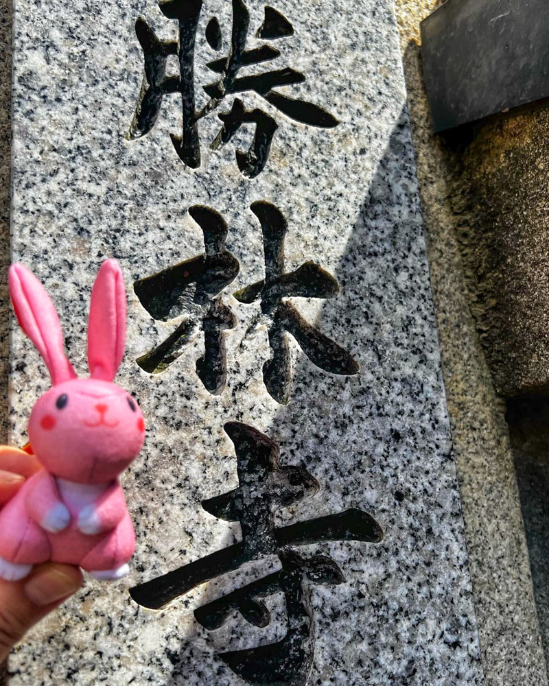 勝林寺、9月秋、京都府京都市の観光・撮影スポットの名所