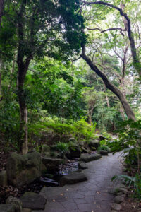 大倉公園、新緑、10月秋、愛知県大府市の観光・撮影スポットの画像と写真