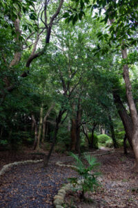 大倉公園、新緑、10月秋、愛知県大府市の観光・撮影スポットの画像と写真