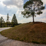 大高緑地、一本木、10月秋、名古屋市緑区の観光・撮影スポットの名所