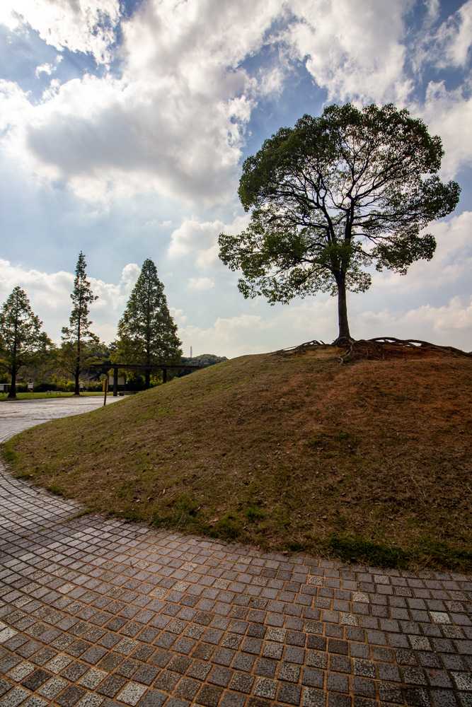 大高緑地、一本木、10月秋、名古屋市緑区の観光・撮影スポットの名所
