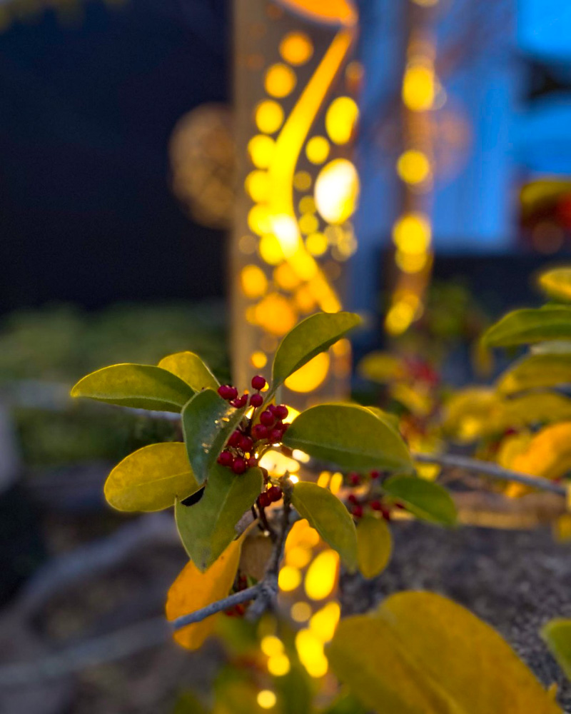 奥の細道むすびの地記念館、竹あかり、ライトアップ、4月春の花、岐阜県大垣市の観光・撮影スポットの画像と写真
