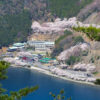 奥琵琶湖パークウェイ 、桜、展望台、4月の春の花、滋賀県長浜市の観光・撮影スポットの名所