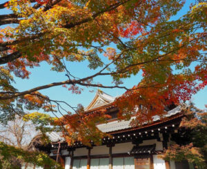将軍塚青龍殿、紅葉、11月秋、京都府京都市の観光・撮影スポットの名所