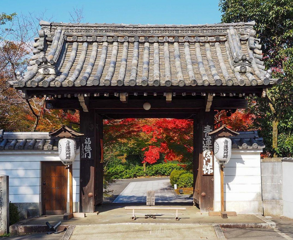 将軍塚青龍殿、紅葉、11月秋、京都府京都市の観光・撮影スポットの名所