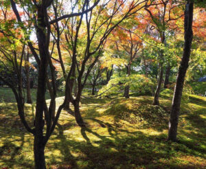 将軍塚青龍殿、紅葉、11月秋、京都府京都市の観光・撮影スポットの名所