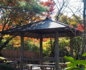 将軍塚青龍殿、紅葉、11月秋、京都府京都市の観光・撮影スポットの名所