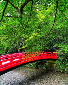小國神社、新緑・夏景色、8月夏、静岡県周智郡の観光・撮影スポットの名所