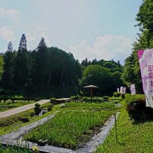 岐阜百年公園、6月夏、岐阜県関市の観光・撮影スポットの名所