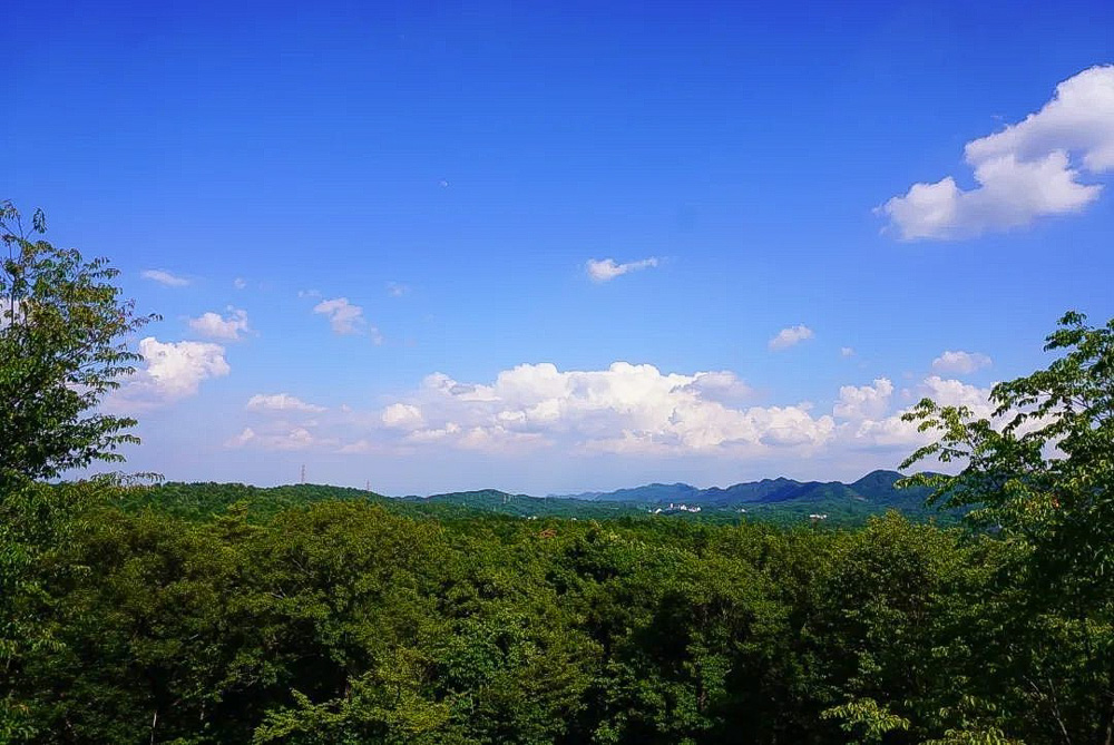 岐阜百年公園、6月夏、岐阜県関市の観光・撮影スポットの名所
