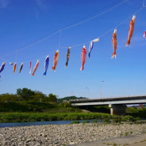 岐阜百年公園、鯉のぼり、6月夏、岐阜県関市の観光・撮影スポットの名所