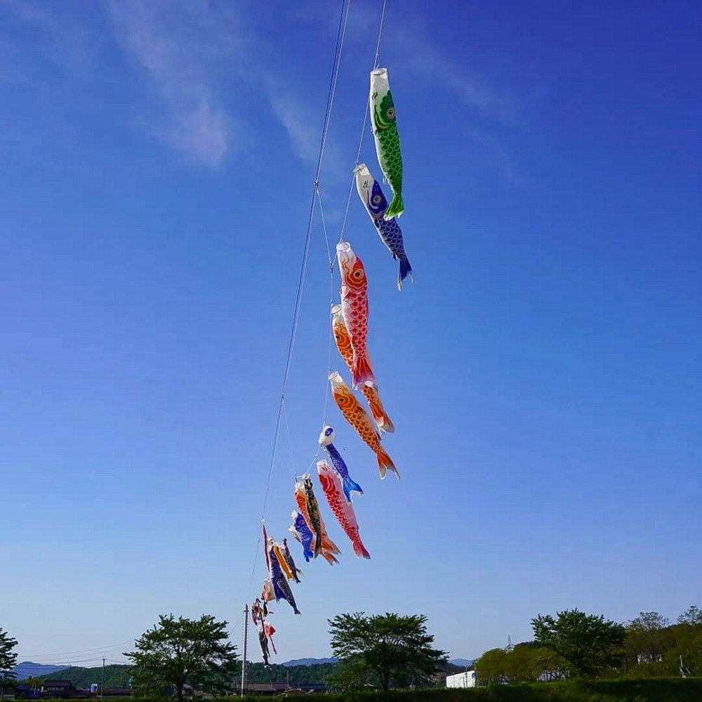 岐阜百年公園、鯉のぼり、6月夏、岐阜県関市の観光・撮影スポットの名所
