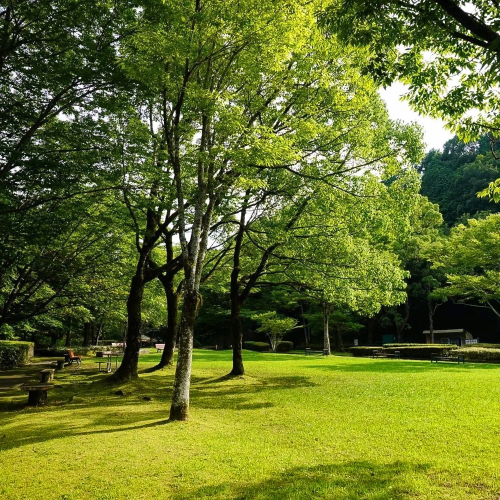 岐阜百年公園、6月夏、岐阜県関市の観光・撮影スポットの名所