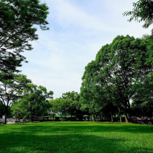 岐阜百年公園、6月夏、岐阜県関市の観光・撮影スポットの名所