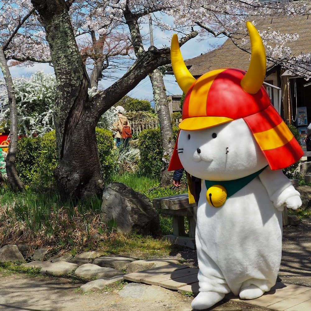彦根城、桜、ひこにゃん、4月春の花、滋賀県彦根市の観光・撮影スポットの名所