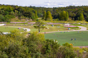 愛・地球博記念公園(モリコロパーク)、10月の秋の花愛知県長久手市の観光・撮影スポットの画像と写真