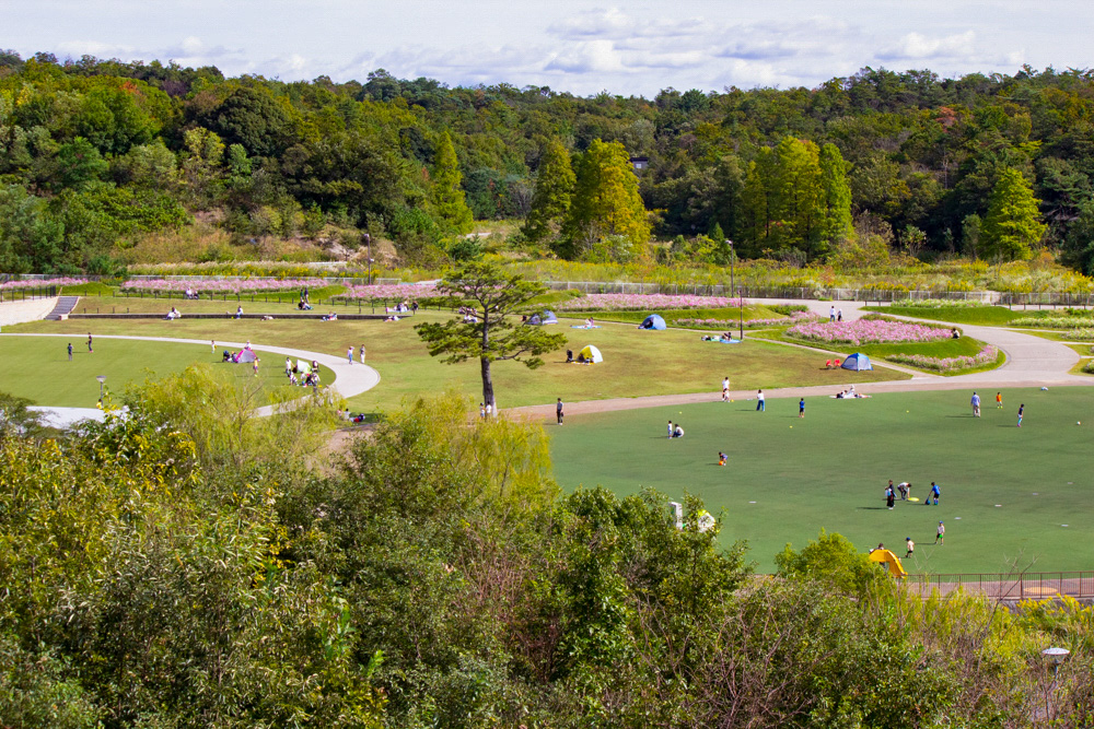 愛・地球博記念公園(モリコロパーク)、10月の秋の花愛知県長久手市の観光・撮影スポットの画像と写真