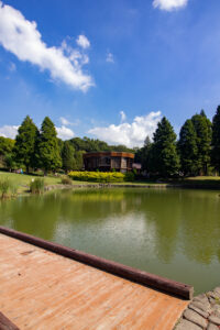 於大公園 、このはな館・メタセコイヤ並木、10月秋、愛知県知多郡の観光・撮影スポットの名所