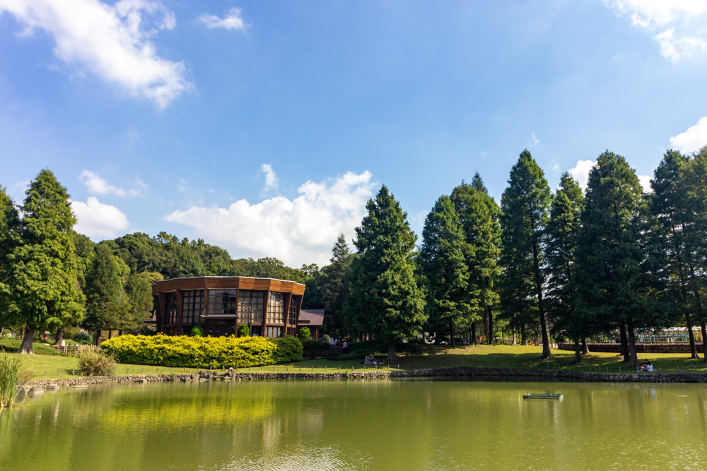 於大公園 、このはな館・メタセコイヤ並木、10月秋、愛知県知多郡の観光・撮影スポットの名所