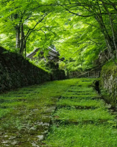 湖東三山　百済寺 夏景色、新緑、夏景色、2021年6月滋賀県東近江市の観光・撮影スポットの名所
