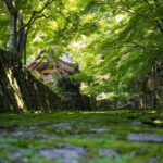 湖東三山　百済寺 夏景色、新緑、夏景色、2021年6月滋賀県東近江市の観光・撮影スポットの名所