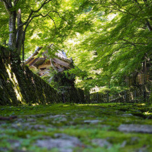 湖東三山　百済寺 夏景色、新緑、夏景色、2021年6月滋賀県東近江市の観光・撮影スポットの名所