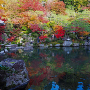 湖東三山　百済寺 紅葉、11月秋、滋賀県東近江市の観光・撮影スポットの名所