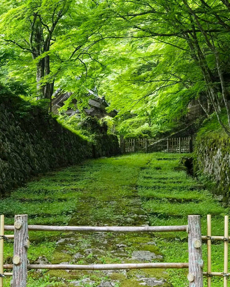 湖東三山　百済寺 夏景色、新緑、夏景色、2021年6月滋賀県東近江市の観光・撮影スポットの名所