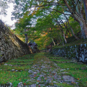 湖東三山　百済寺 紅葉、11月秋、滋賀県東近江市の観光・撮影スポットの名所