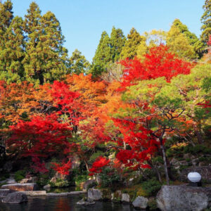 湖東三山　百済寺 紅葉、11月秋、滋賀県東近江市の観光・撮影スポットの名所