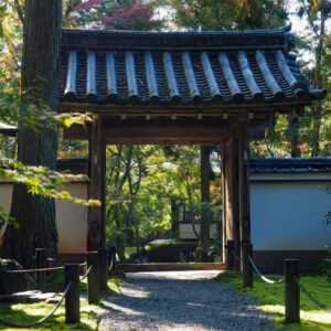竹の寺 地蔵院、新緑。夏景色、6月秋、京都府京都市の観光・撮影スポットの名所