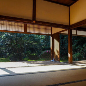 竹の寺 地蔵院、新緑。夏景色、6月秋、京都府京都市の観光・撮影スポットの名所