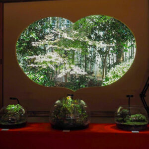 竹の寺 地蔵院、新緑。夏景色、6月秋、京都府京都市の観光・撮影スポットの名所