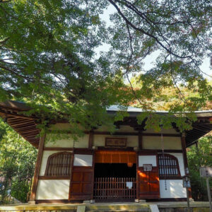 竹の寺 地蔵院、新緑。夏景色、6月秋、京都府京都市の観光・撮影スポットの名所