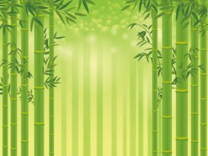 竹林