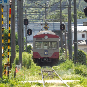 近江鉄道、多賀大社前駅、9月秋の花、滋賀県犬上郡の観光・撮影スポットの名所