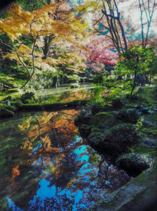 湖東三山 金剛輪寺、紅葉、11月秋、滋賀県愛知郡の観光・撮影スポットの名所